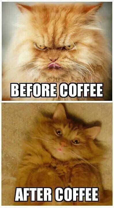 funny coffee memes 2024|before and after coffee memes.